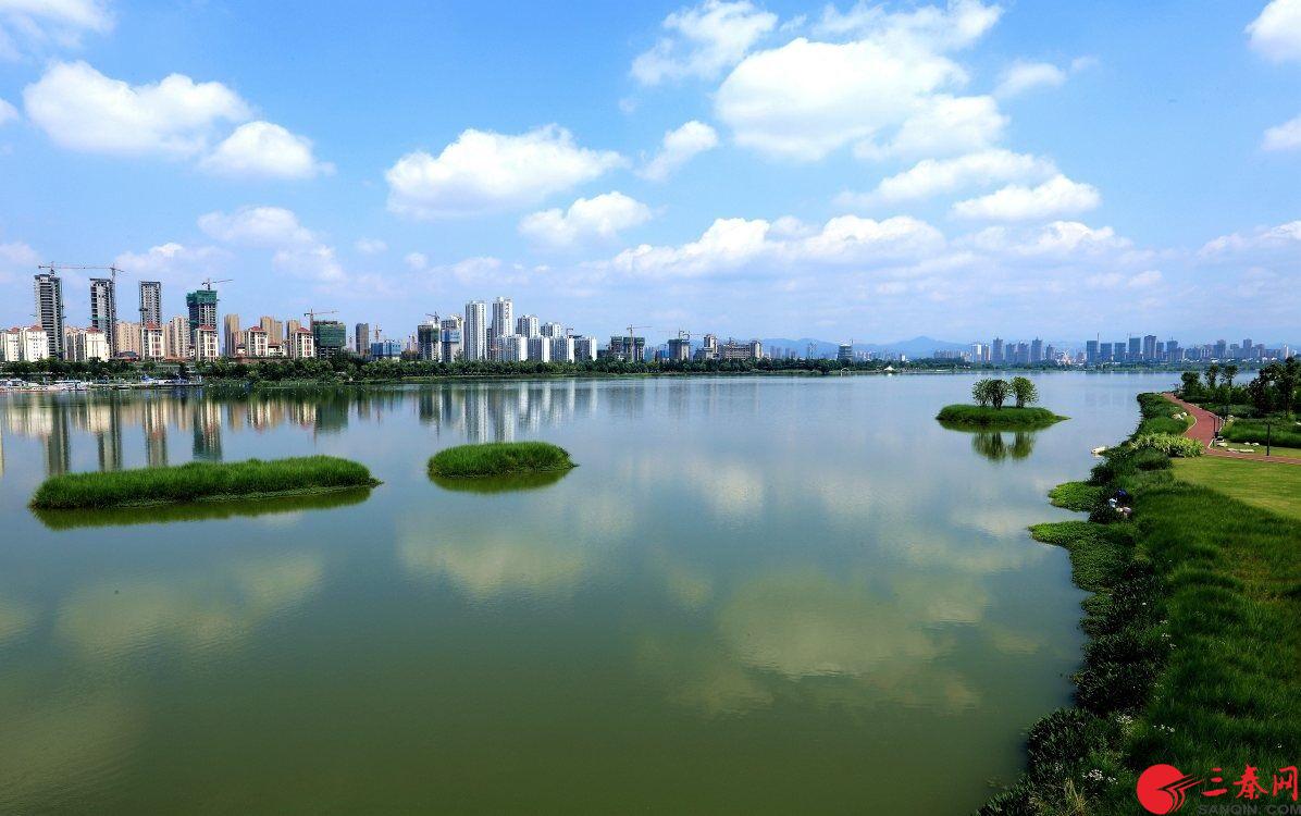 汉中市汉江湿地公园:红梅花开报春来