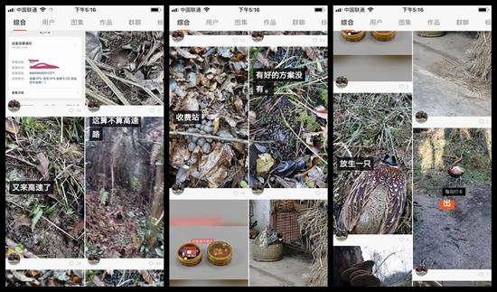 快手上使用“暗语”的野生动物盗猎者页面 来源：《财经》记者2月21日截图