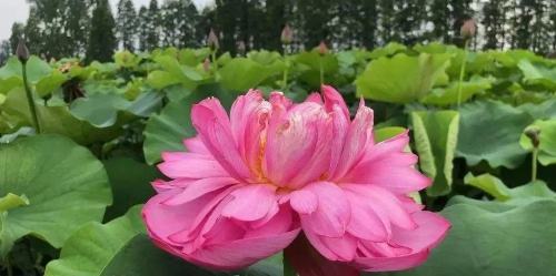 微信图片_20220612224009.jpg