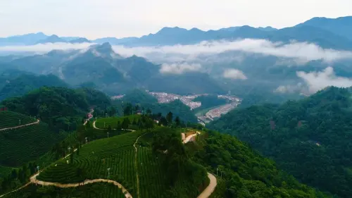 微信图片_20230824175012_4.jpg