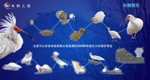 微信图片_20231104232218.png