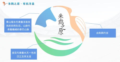 微信图片_20231104232210.png