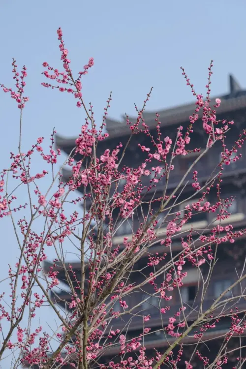 微信图片_20240229181937.jpg