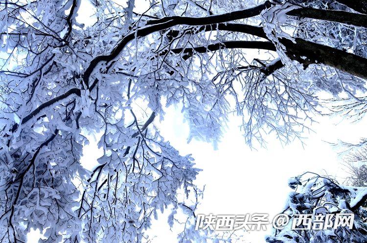 234cabae9d6dc9d57447e10ba80d07b3.jpeg