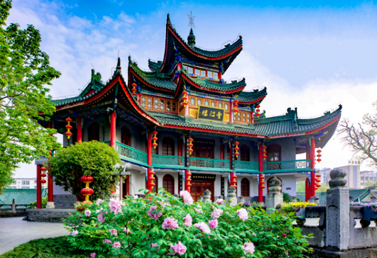 图片